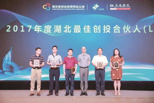 投資改革增引力，資本匯聚強產業——投資控股的發展新路徑